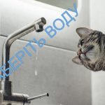 Завтра, 10 вересня у Дрогобичі місцями не буде води