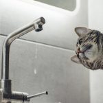 У Дрогобичі планують переглянути тариф на водопостачання та водовідведення