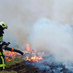 На Золочівщині виникла пожежа через падіння збитого «шахеда»