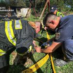 На Дрогобиччині рятувальники з пожежі врятували чотирилапого: низький уклін рятувальникам, кожне життя важливе! (Фото)
