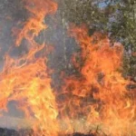 На Самбірщині онук спалив померлу бабусю на городі: справу розслідують як умисне вбивство