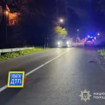 В Дрогобичі затримали нетверезого водія, який вчинив смертельну ДТП та втік з місця події